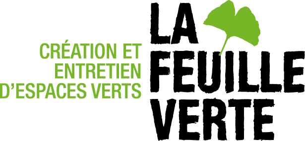 La feuille verte